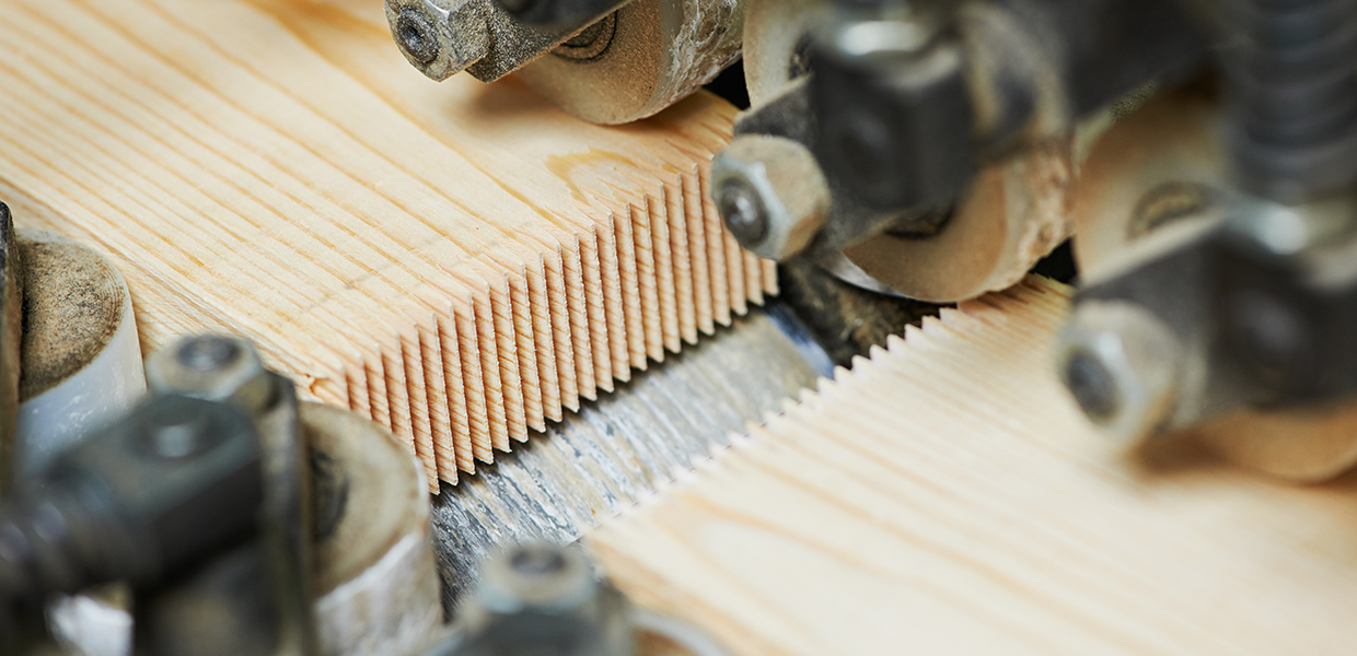 timber_slider_plaut_2